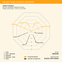Velvet Sun Arabica Anaerobic Fermented Washed | Elkhill Estates