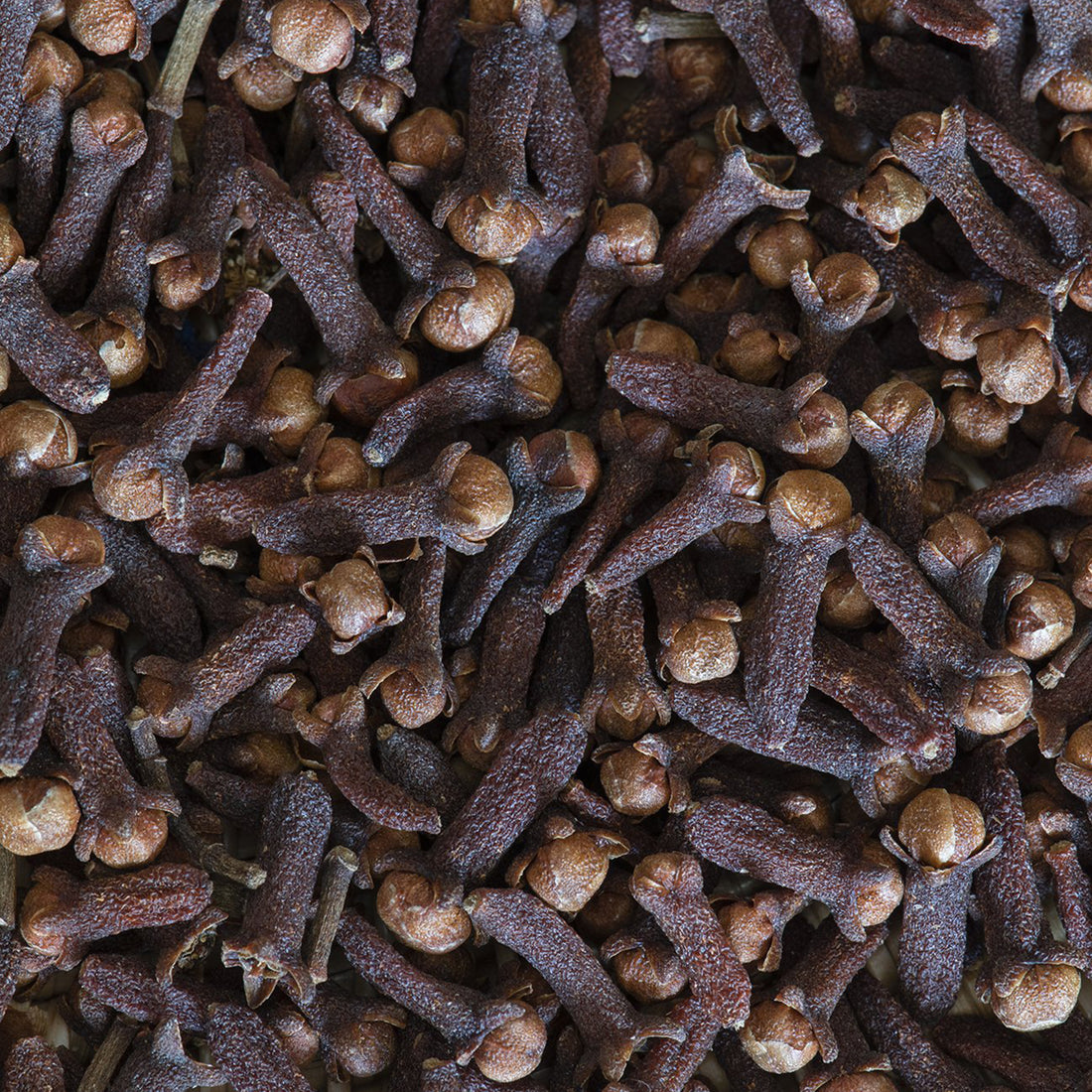 Whole Cloves