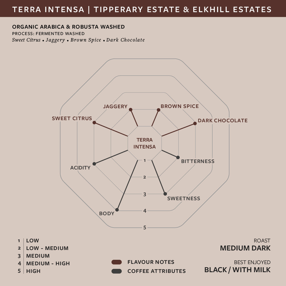 Terra Intensa  Organic Arabica & Robusta Fermented Washed | Tipperary & Elkhill Estates