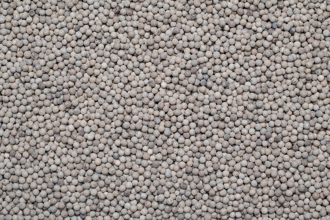 Whole White Pepper